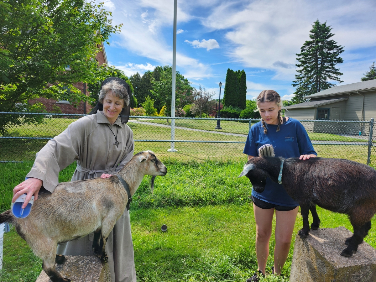 Children brush the goats at summer program